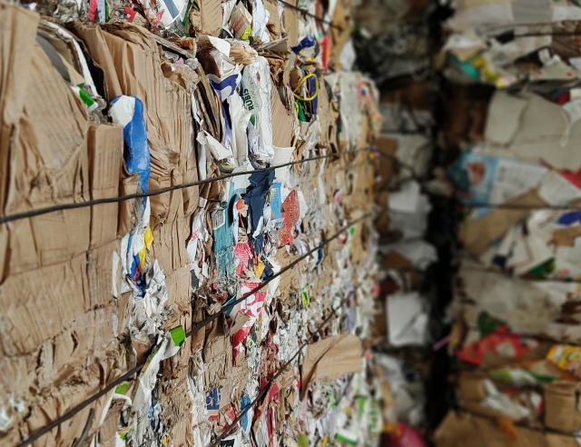 Reciclagem aumenta 10% no primeiro semestre de 2021