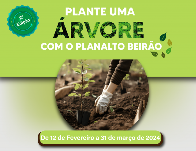 Plante uma árvore com o Planalto Beirão