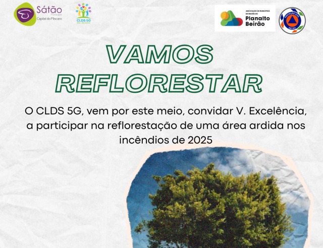 Dia da Árvore | 23 Março